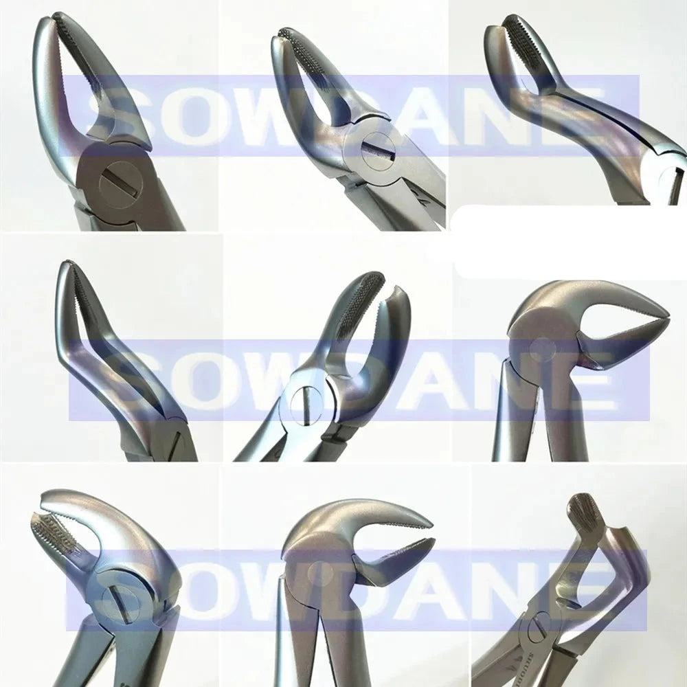 Premium Dental Extraction Forceps - High Quality Stainless Steel Instrument for Adult Teeth