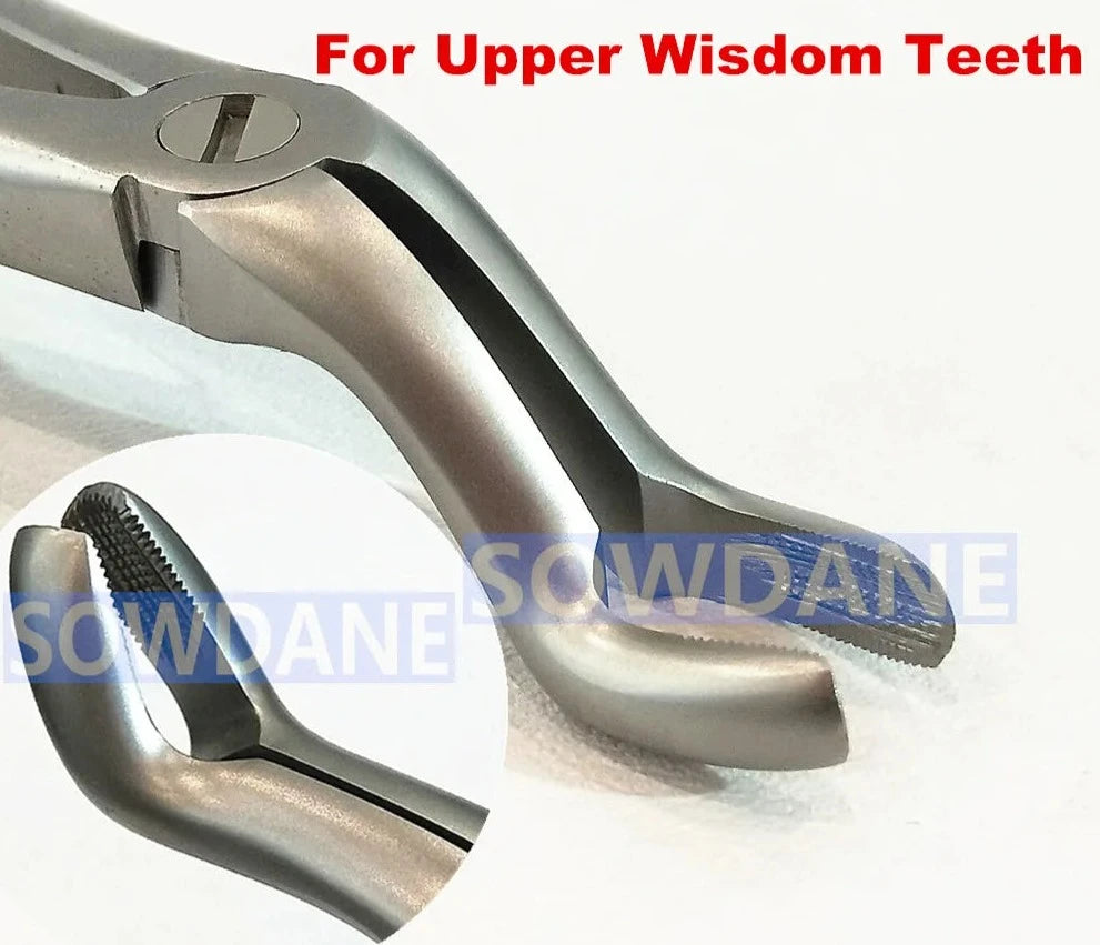 Premium Dental Extraction Forceps - High Quality Stainless Steel Instrument for Adult Teeth