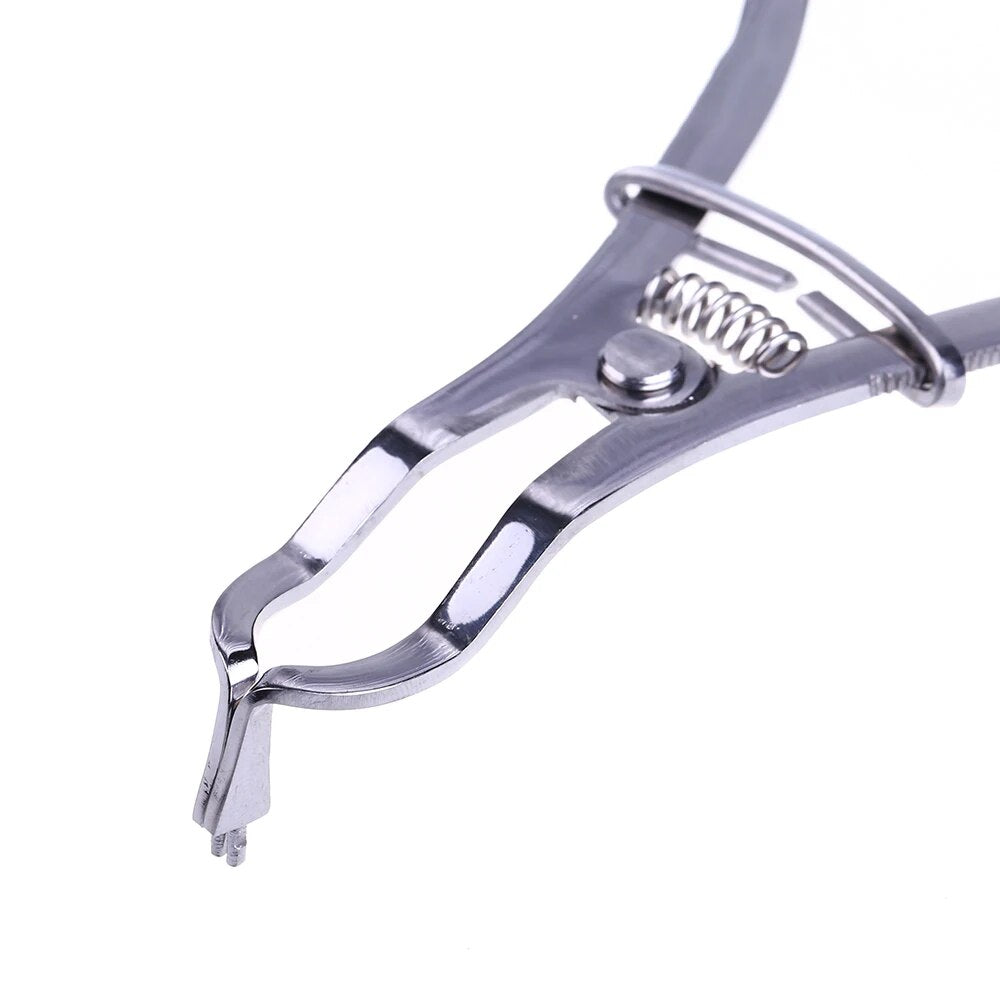 Dental Clamp Forceps