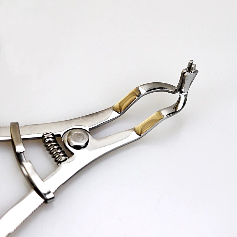 Dental Clamp Forceps