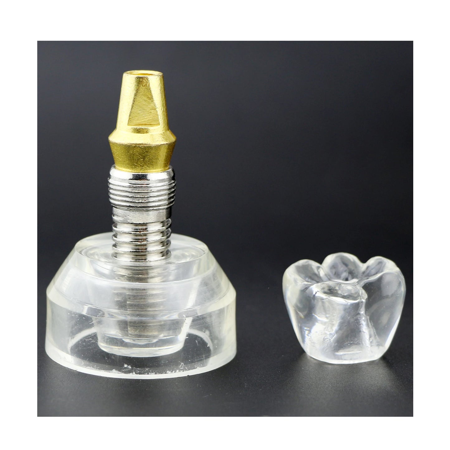 Implant Model - Demonstration Treatment Plan Case Acceptance