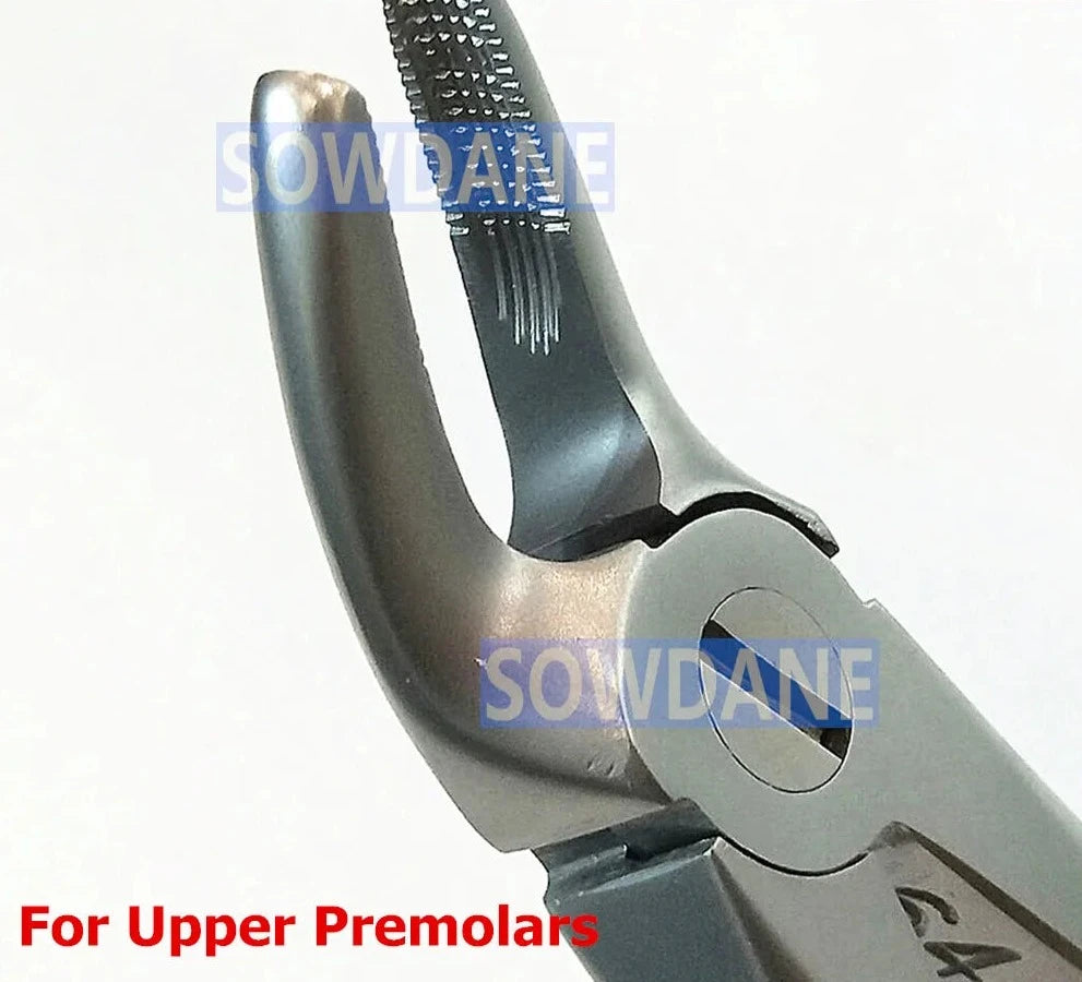 Premium Dental Extraction Forceps - High Quality Stainless Steel Instrument for Adult Teeth