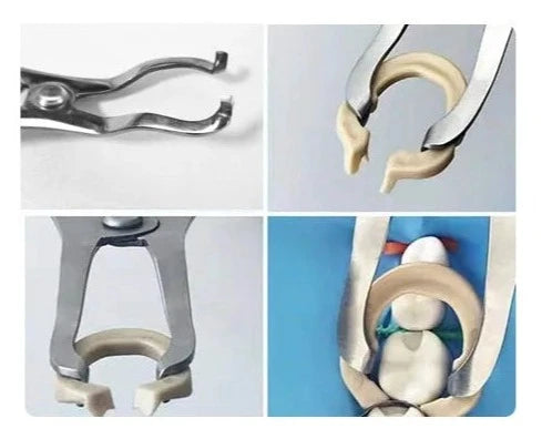 Contoured Matrices Pliers - Stainless Steel - Dentistry Accessories