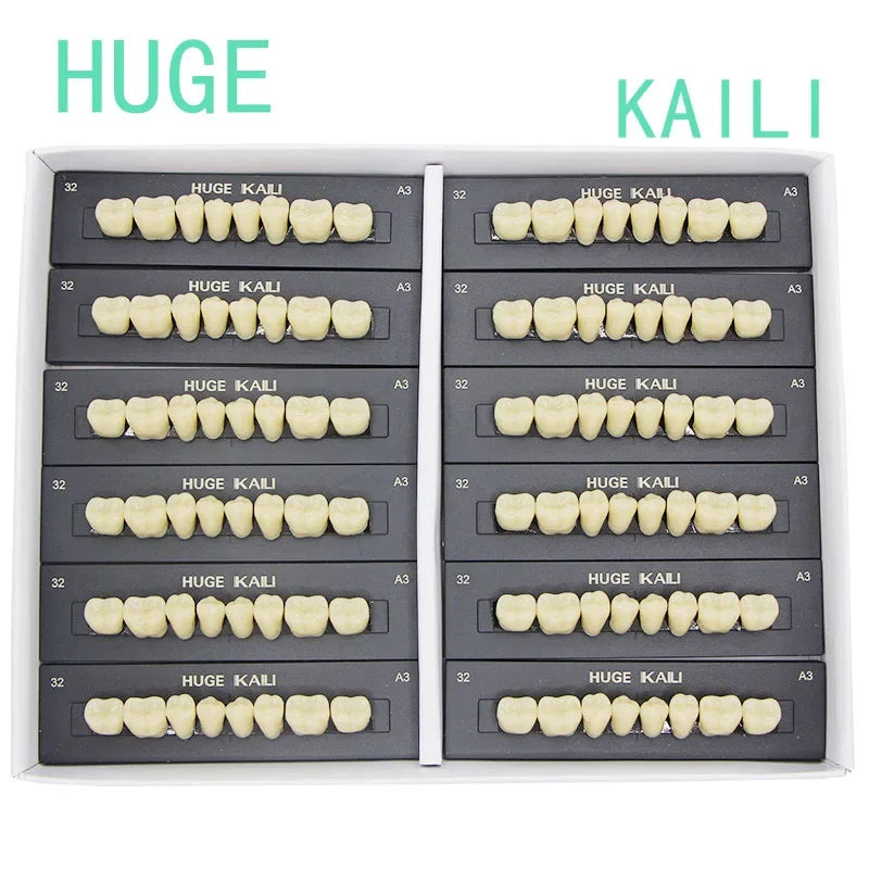 Kaili Synthetic Polymer Denture Teeth, T10/L10/36