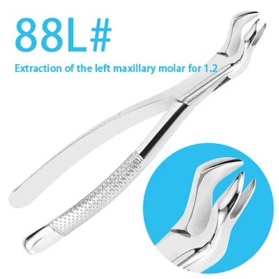 S2e5efcadb1224a89912a888f8626b7681