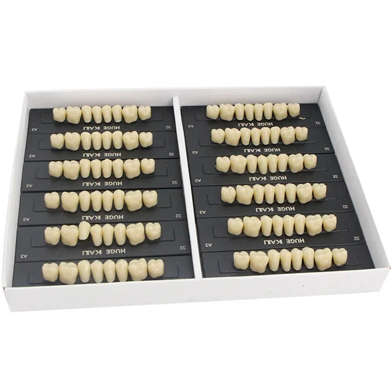 Kaili Synthetic Polymer Denture Teeth, T10/L10/36