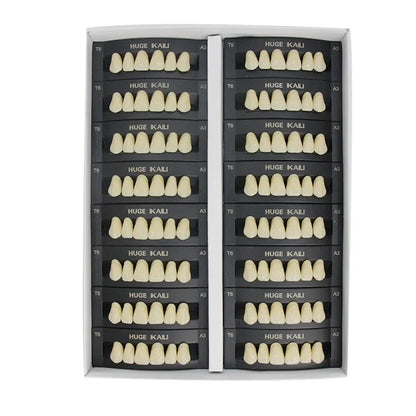Kaili Synthetic Polymer Denture Teeth, T10/L10/36