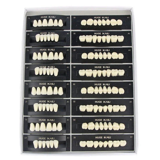 Kaili Synthetic Polymer Denture Teeth, T10/L10/36