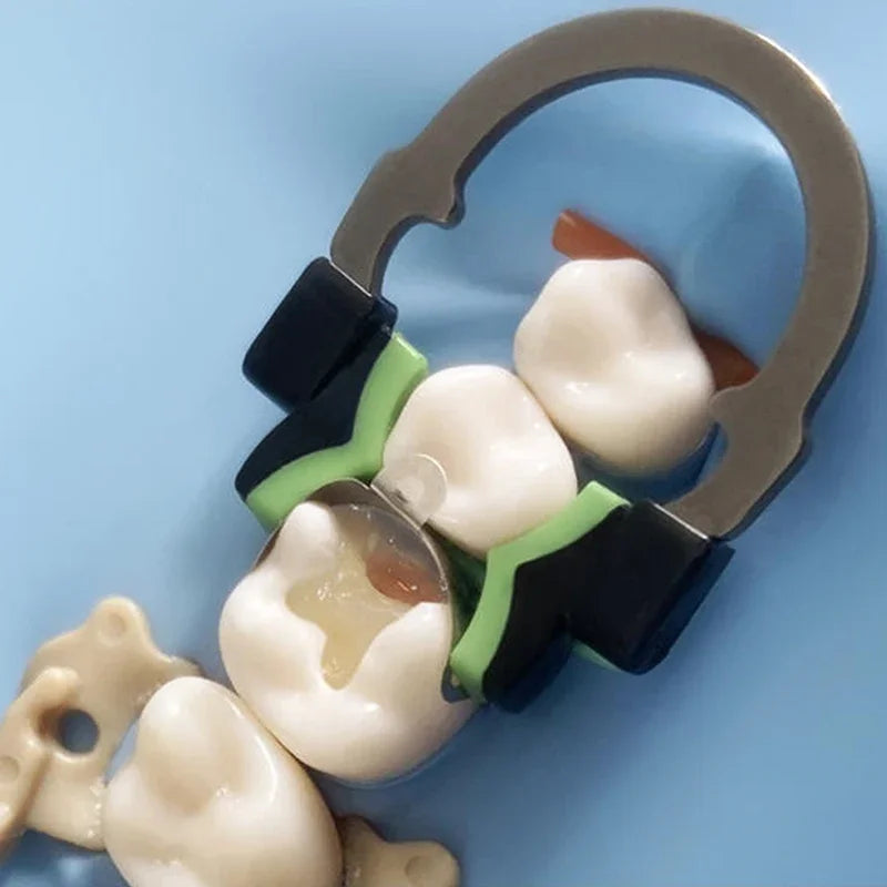 Dental Contoured Matrix System - Premium NiTi Clamp Ring