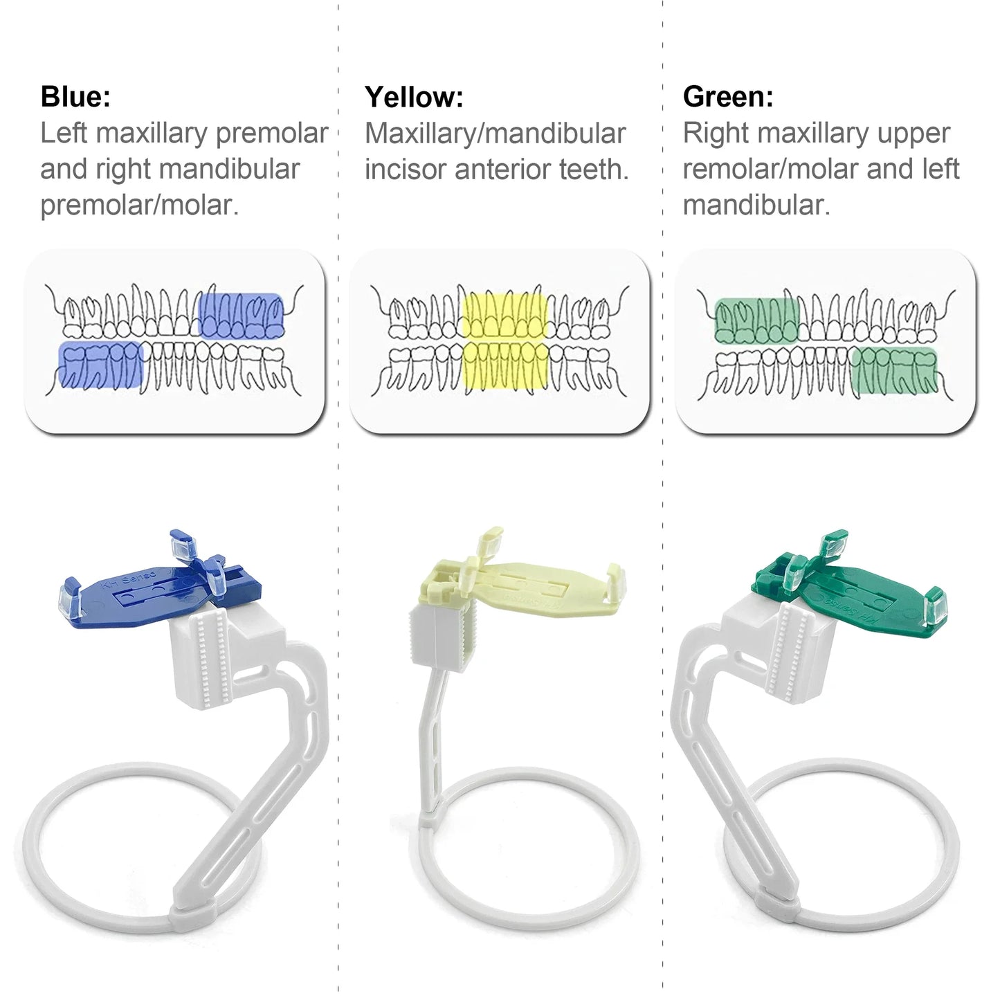Periapical Xray Sensor Holder System