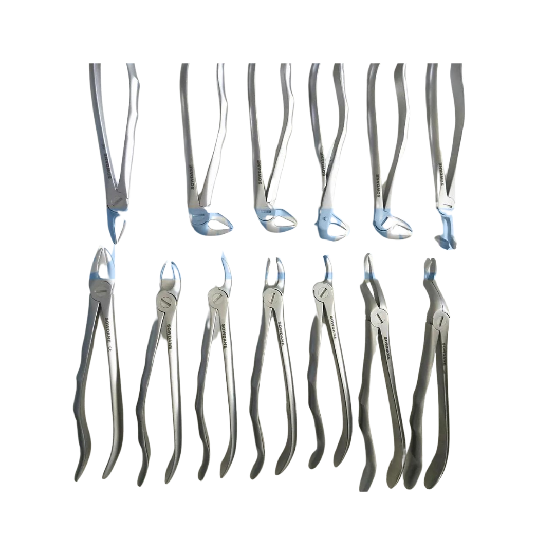 Premium Dental Extraction Forceps - High Quality Stainless Steel Instrument for Adult Teeth