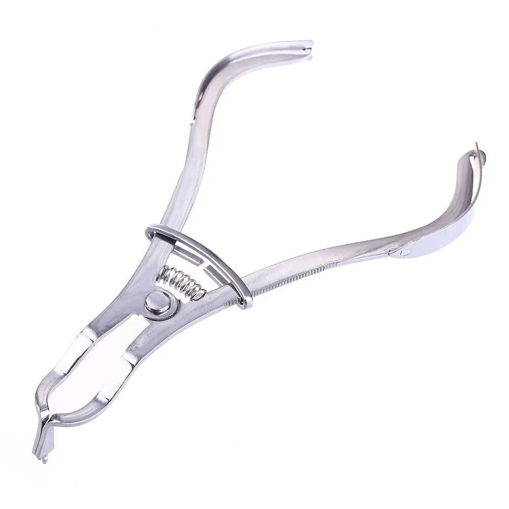 Dental Clamp Forceps