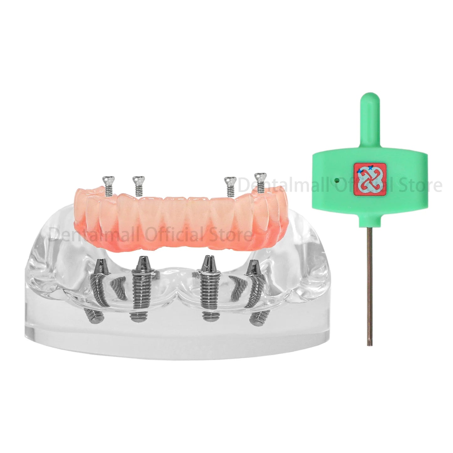 Mandibular Arch Fixed Implant Protheses Restoration Model - complete arch