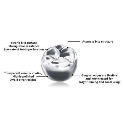 S5021f2c408fc49429308b18e2d82f33dT